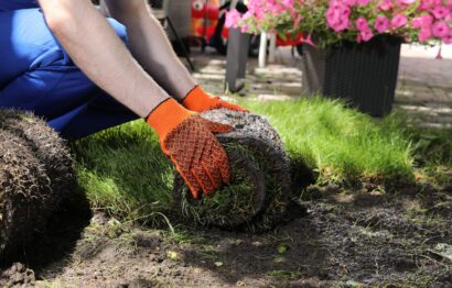 Gardener laying grass sod on backyard, closeup