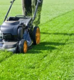 depositphotos_109321374-stock-photo-lawn-mower-grass