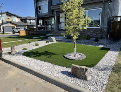 2021-06-29