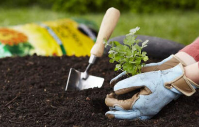 fertilizers-desert-energy